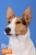 Osobní profil